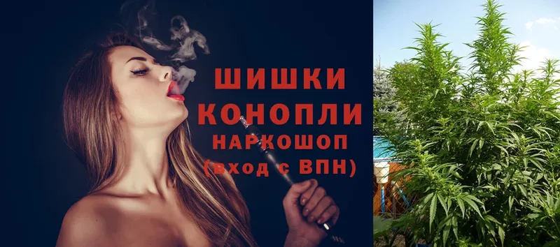 Бошки марихуана OG Kush  MEGA вход  Вышний Волочёк  дарнет шоп 